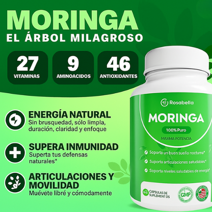 🌿 Moringa – El Árbol Milagroso para tu Bienestar