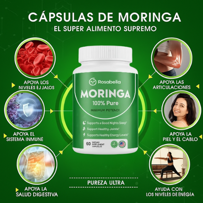 🌿 Moringa – El Árbol Milagroso para tu Bienestar